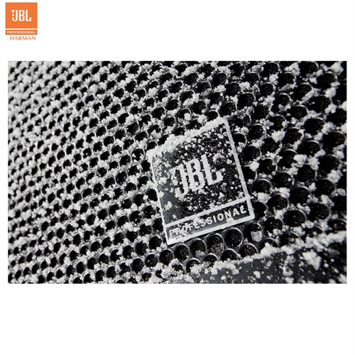 Loa JBL AW295 4